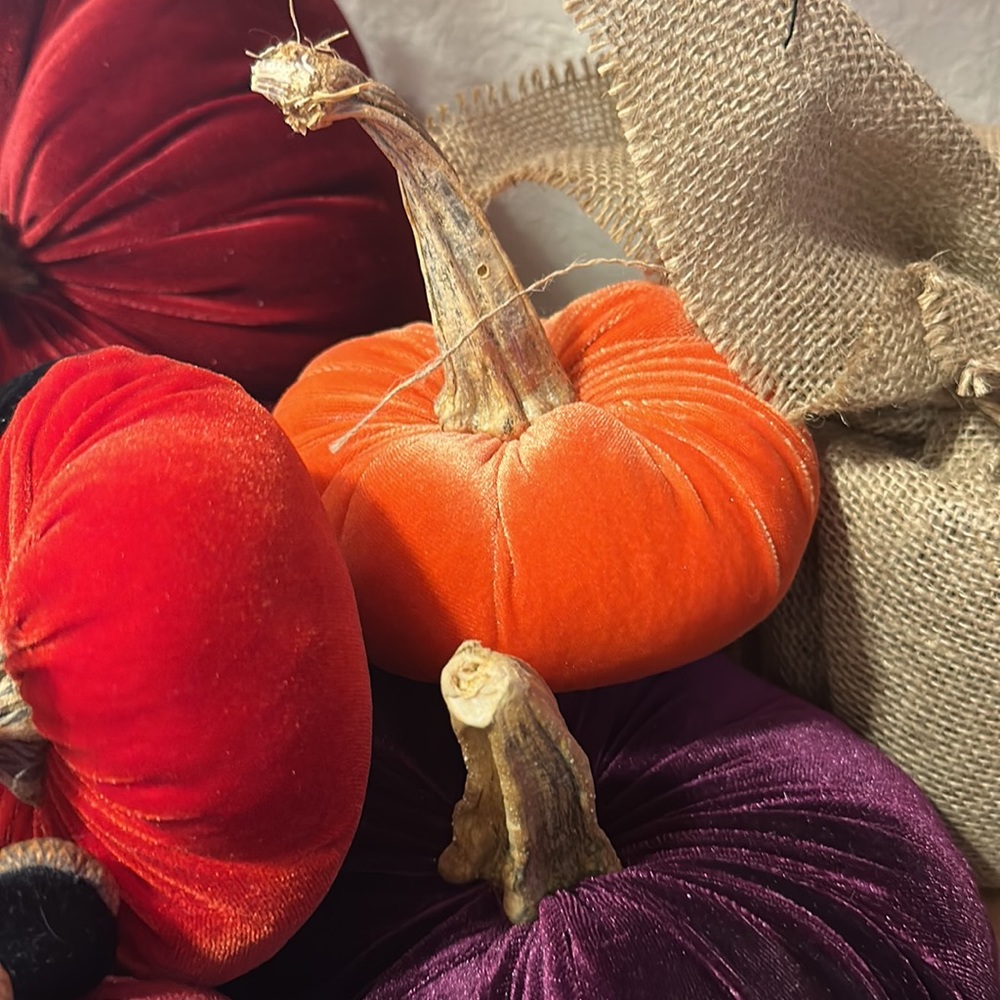 Velvet Pumpkins. - Picture 5 of 13